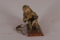 臺灣獼猴藏品圖，第3張